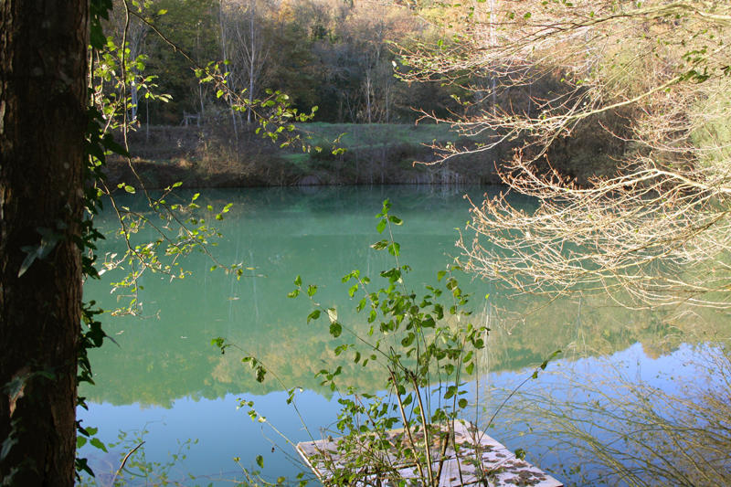 San Giorgio Villam ออร์เวียโต ห้อง รูปภาพ